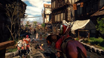 The Witcher 3 : Wild Hunt — screenshot 5
