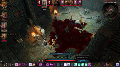 Divinity: Original Sin 2 — screenshot 6