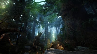 Black Desert Online — screenshot 3