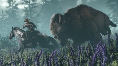 Red Dead Online — screenshot 3