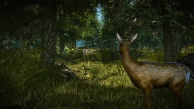 The Witcher 2 : Assassins of Kings Enhanced Edition — screenshot 2