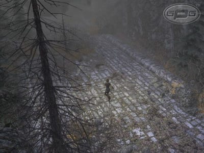 Dungeon Siege 2 — screenshot 4
