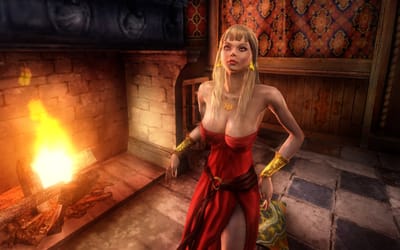 The Witcher : Édition Director's Cut améliorée — screenshot 5