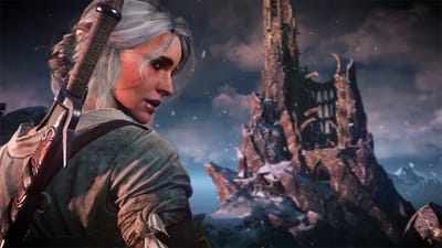 The Witcher 3 : Wild Hunt — screenshot 4