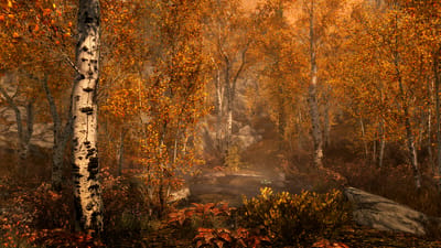 The Elder Scrolls V : Skyrim Special Edition — screenshot 3