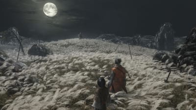 Sekiro : Shadows Die Twice — screenshot 6