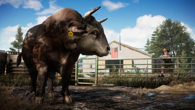 Far Cry 5 — screenshot 4
