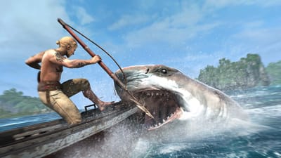 Assassin’s Creed IV : Black Flag — screenshot 4