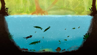 Among Ripples — screenshot 2