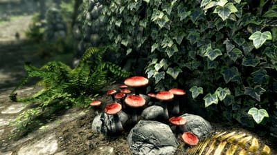 The Elder Scrolls V : Skyrim Special Edition — screenshot 6
