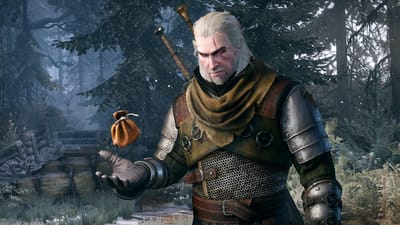 The Witcher 3 : Wild Hunt — screenshot 6