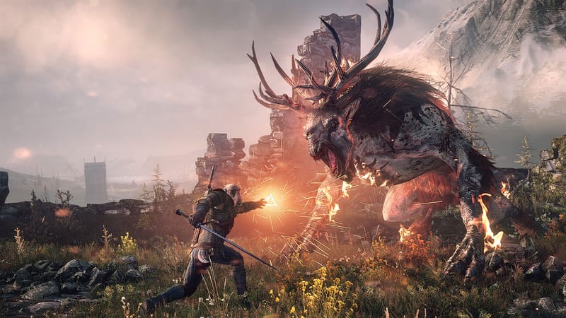 The Witcher 3 : Wild Hunt — screenshot 1