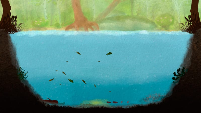 Among Ripples — screenshot 1